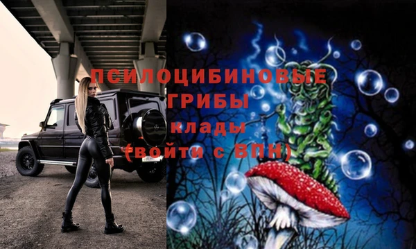 трава Богородицк