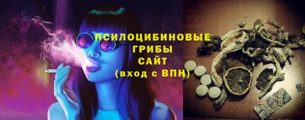 скорость Богданович